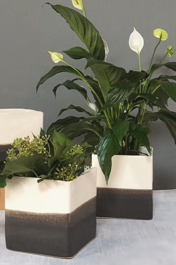Other Square Vases