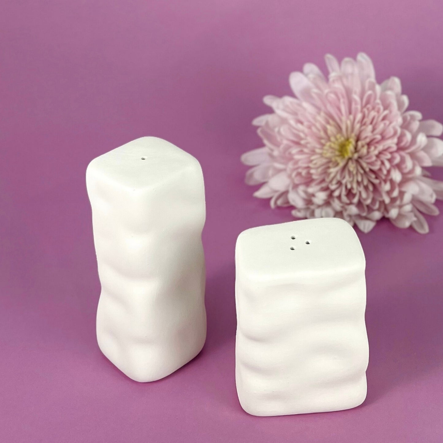 Salt & Pepper Shakers