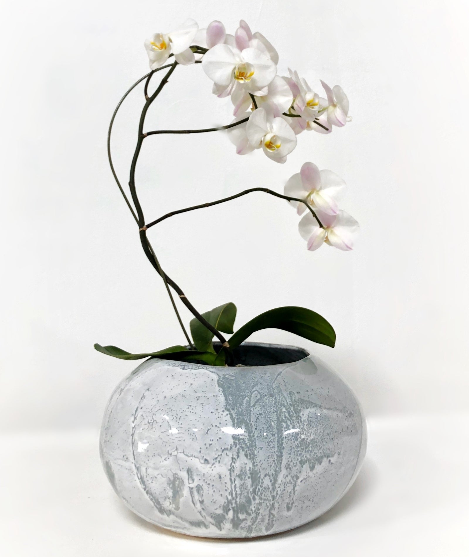 marshalls plant pots Planters – Alex Marshall Studios