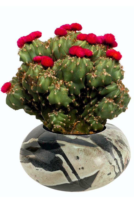 Planters