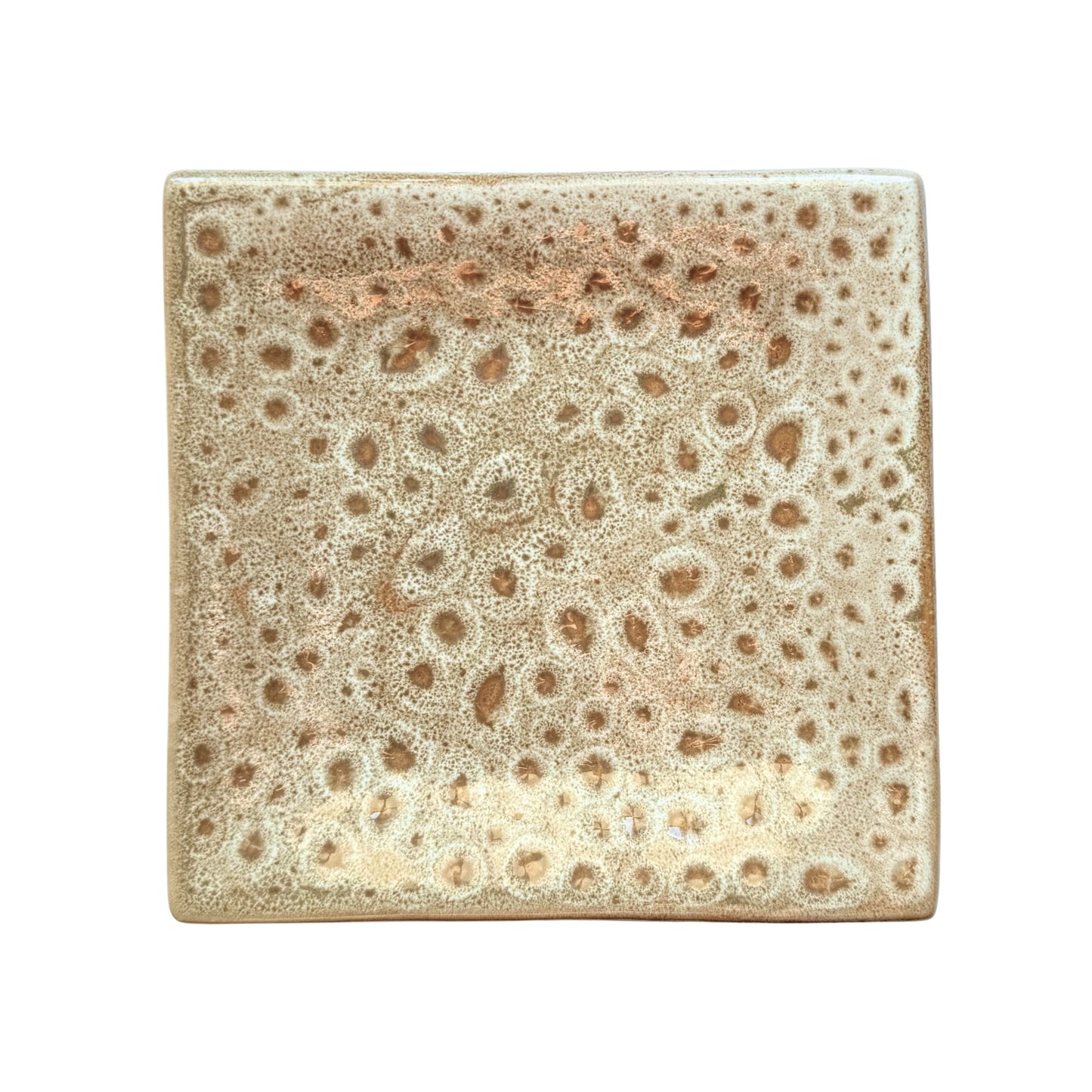 Appetizer Plate