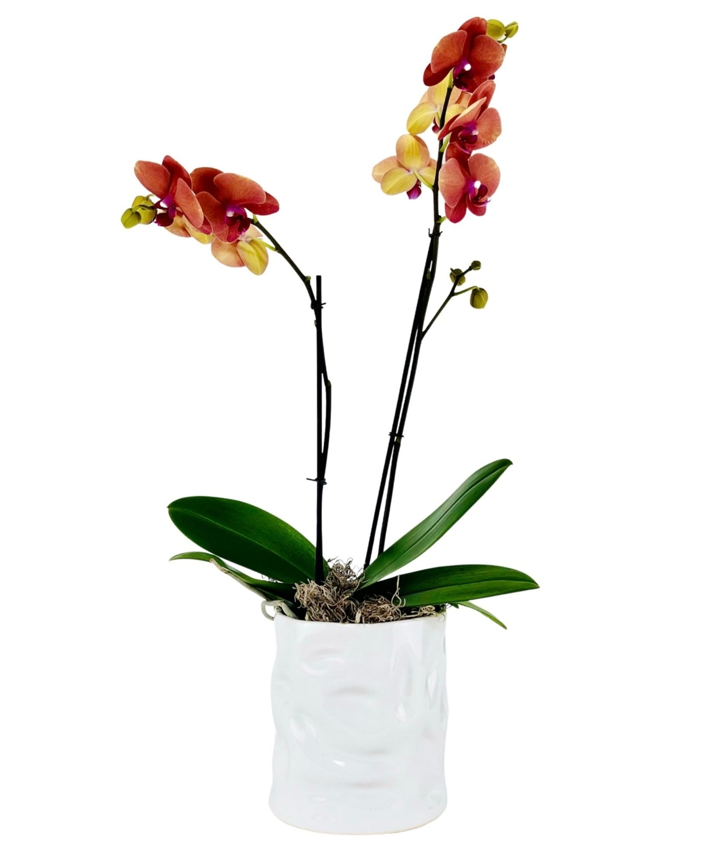 Other Cylinder Vases