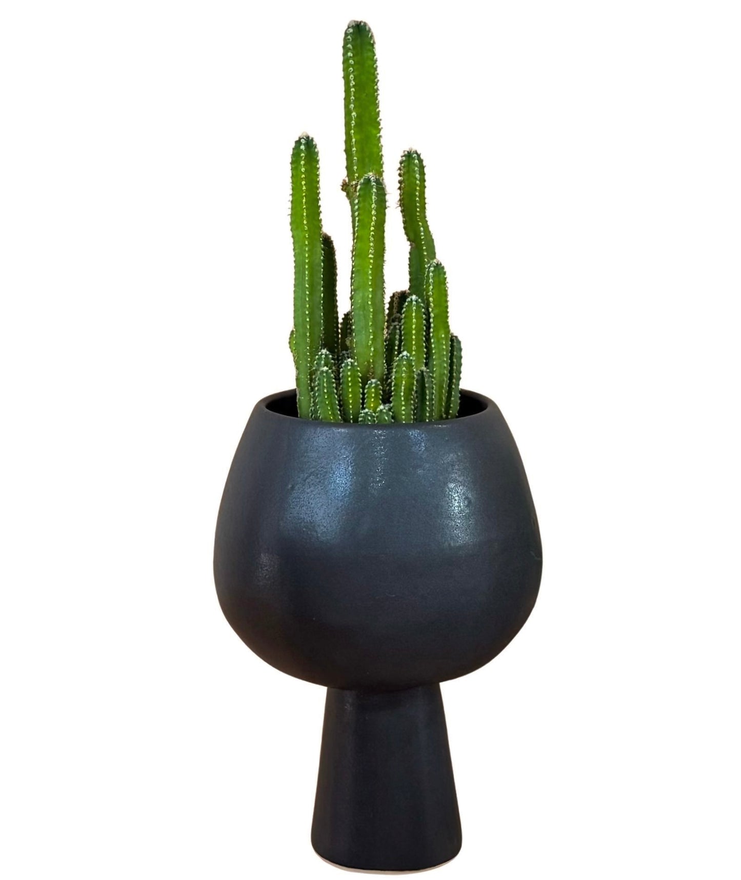 Tapered Sphere Vases