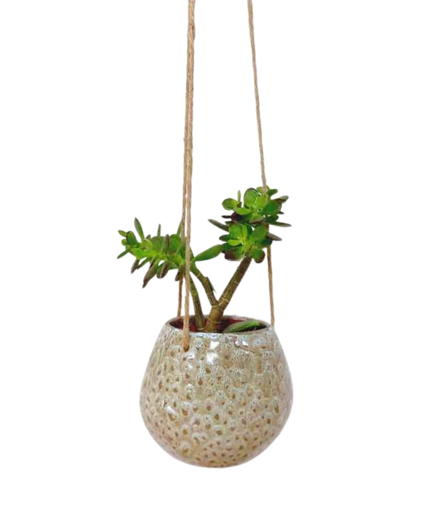 Tapered Sphere Vases