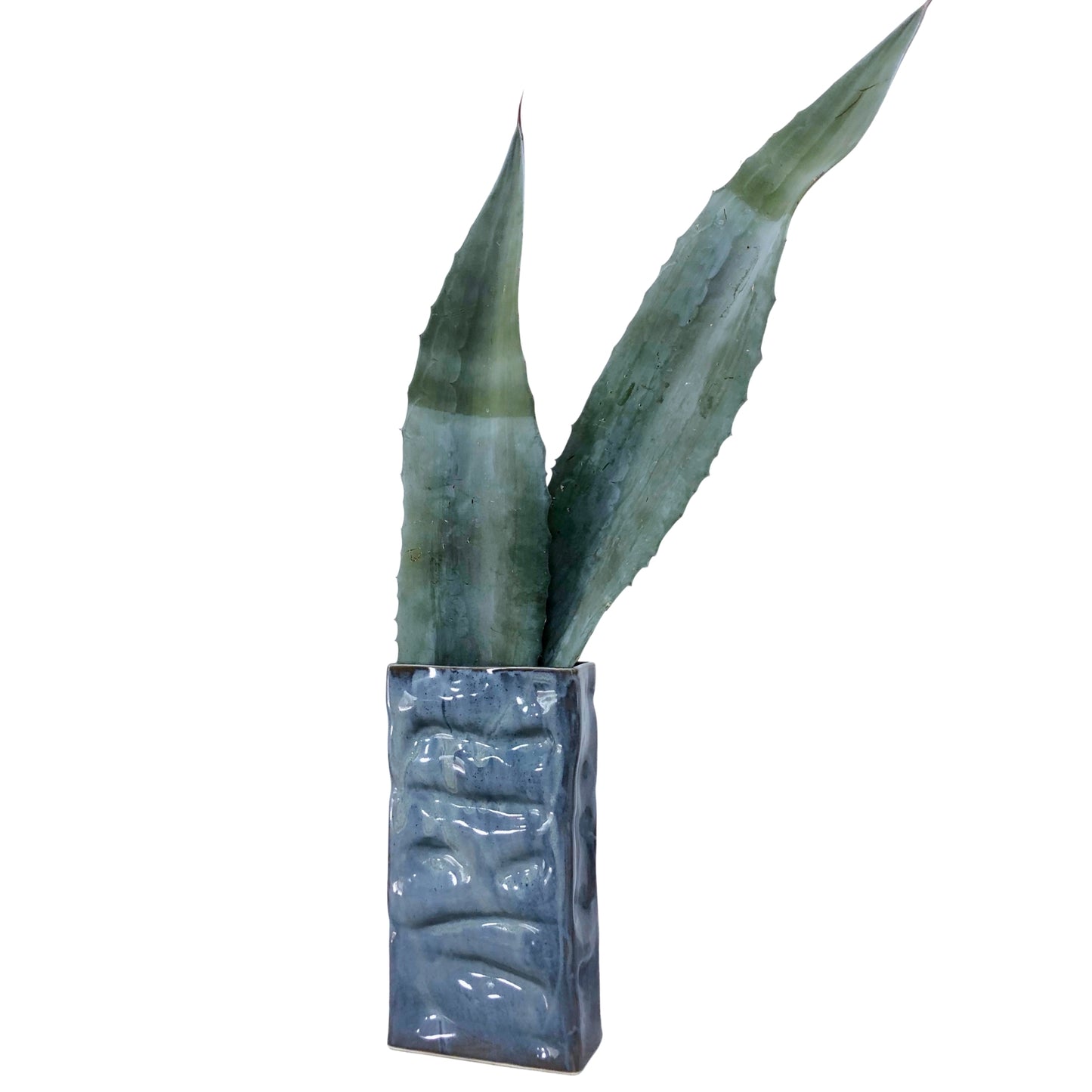 Ripple Rectangle Vases