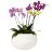 Orchid Centerpiece Workshop with M Creations  - Matte White