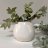 Tapered Sphere Vase - Gloss White