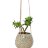 Hanging Tapered Sphere Vase - Speckled Brown